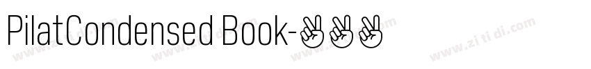PilatCondensed Book字体转换